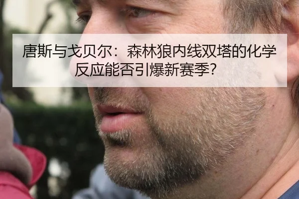 唐斯与戈贝尔：森林狼内线双塔的化学反应能否引爆新赛季？